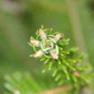 Meet your Posher, Jac